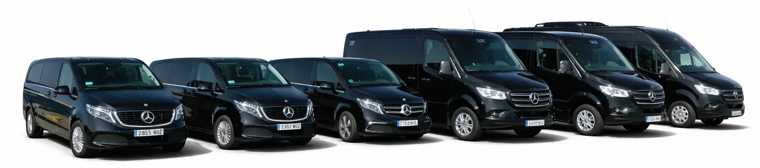 Tipos de vehículos MenorcaBus