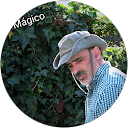 Foto de perfil de Santiago Rodriguez Villegas
